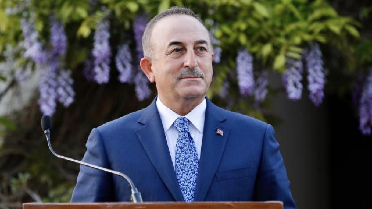 Mövlud Çavuşoğlu sloveniyalı həmkarı ilə görüşüb