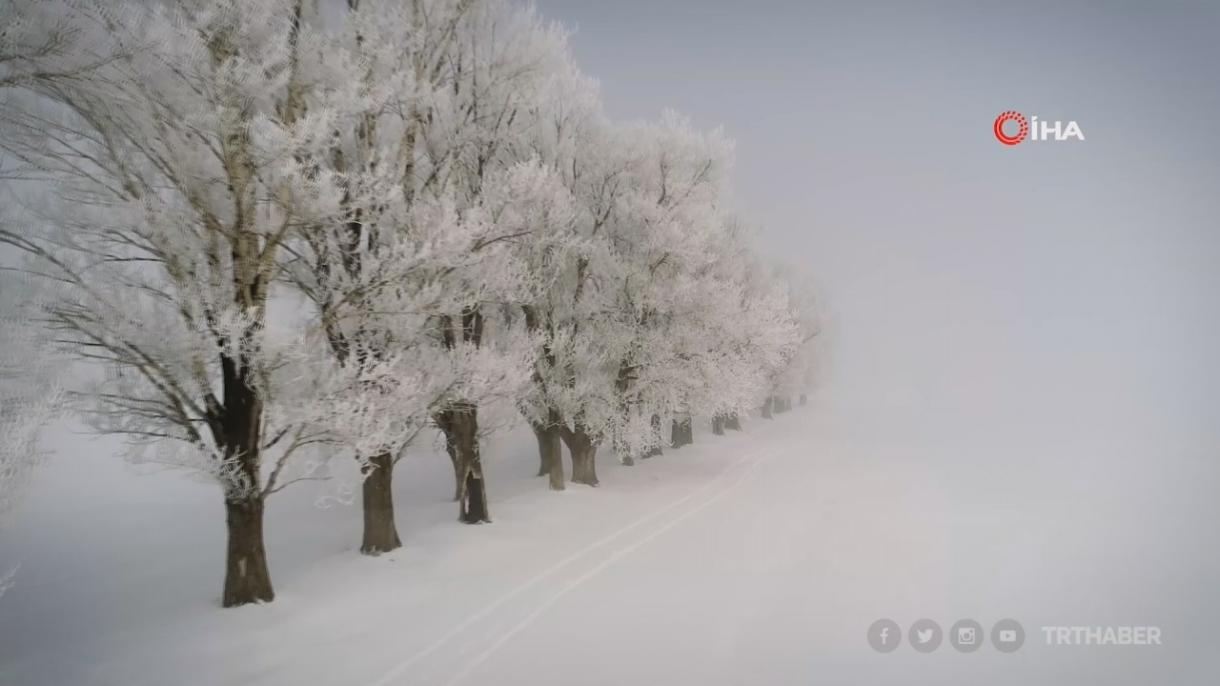 Erzurum Kırağı.jpg