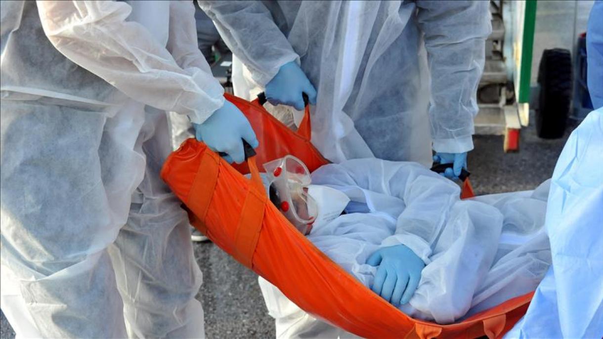 刚果第11波埃博拉疫情导致43人死亡