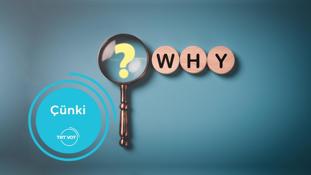 Adamlar deň hukukly we erkin dogulýarlar