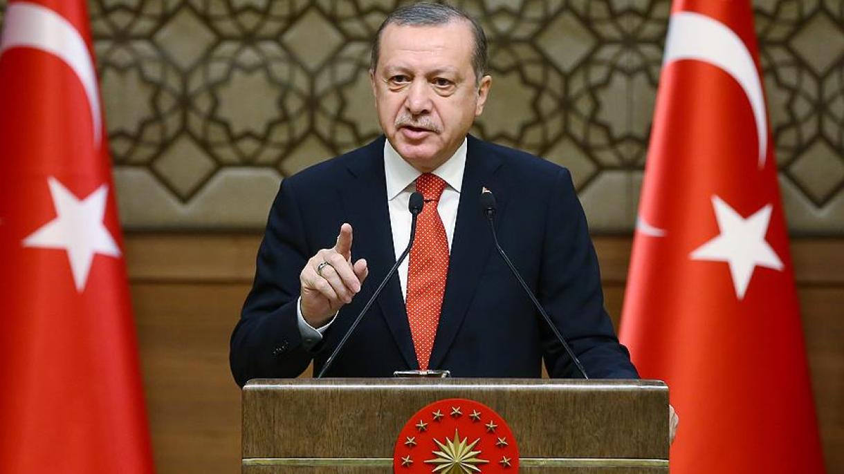 Президент Эрдоган "Die Zeit" гезитине маалымат берди
