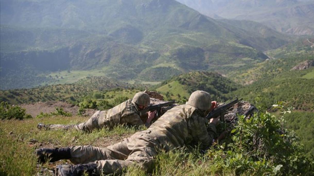 Neutralizados dos terroristas en la zona rural de Şırnak