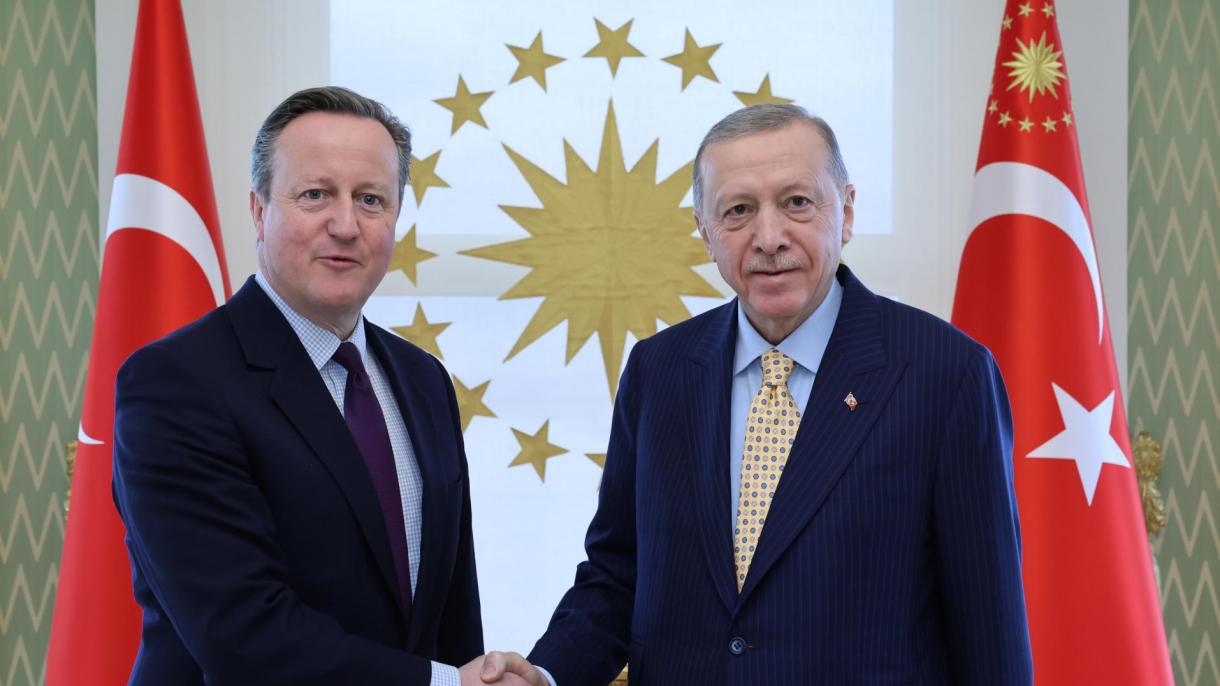 Erdogan y Cameron abordaron la entrega de más ayuda humanitaria a Gaza