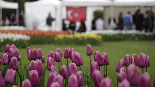 Los tulipanes turcos se presentan en Suiza