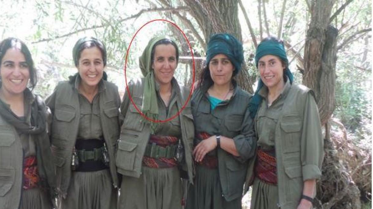 国家情报组织制服PKK负责人之一