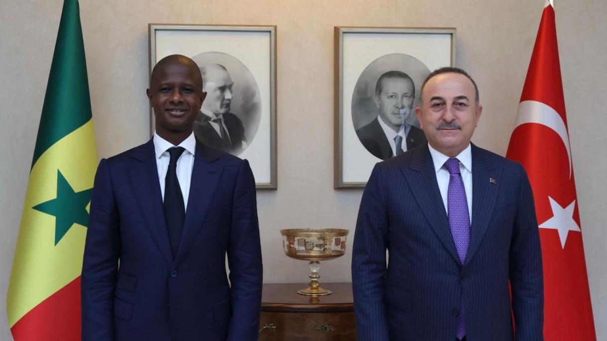土耳其外长会见塞内加尔内政部长