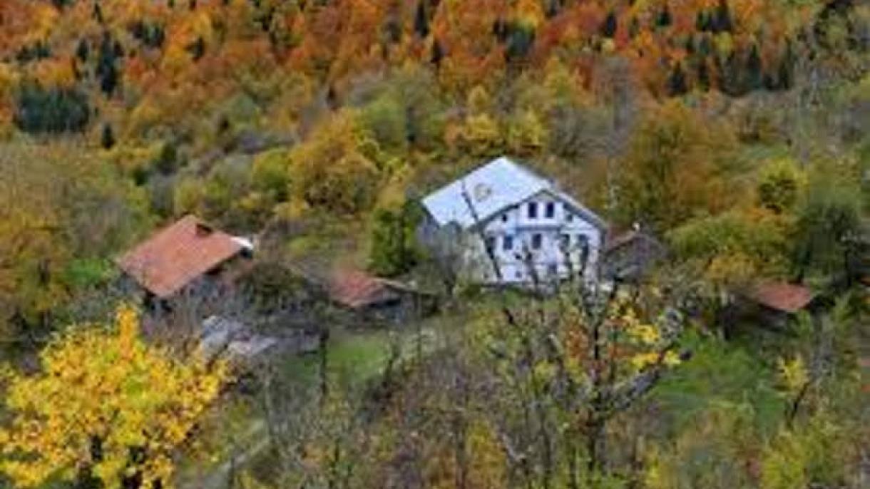 Karadeniz-3.jpg