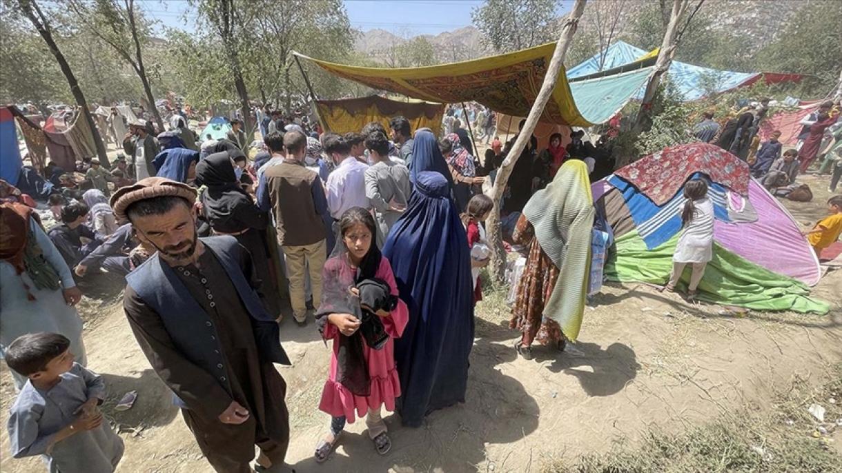 حداقل 18.8 میلیون افغان با ناامنی حاد غذایی روبرو هستند