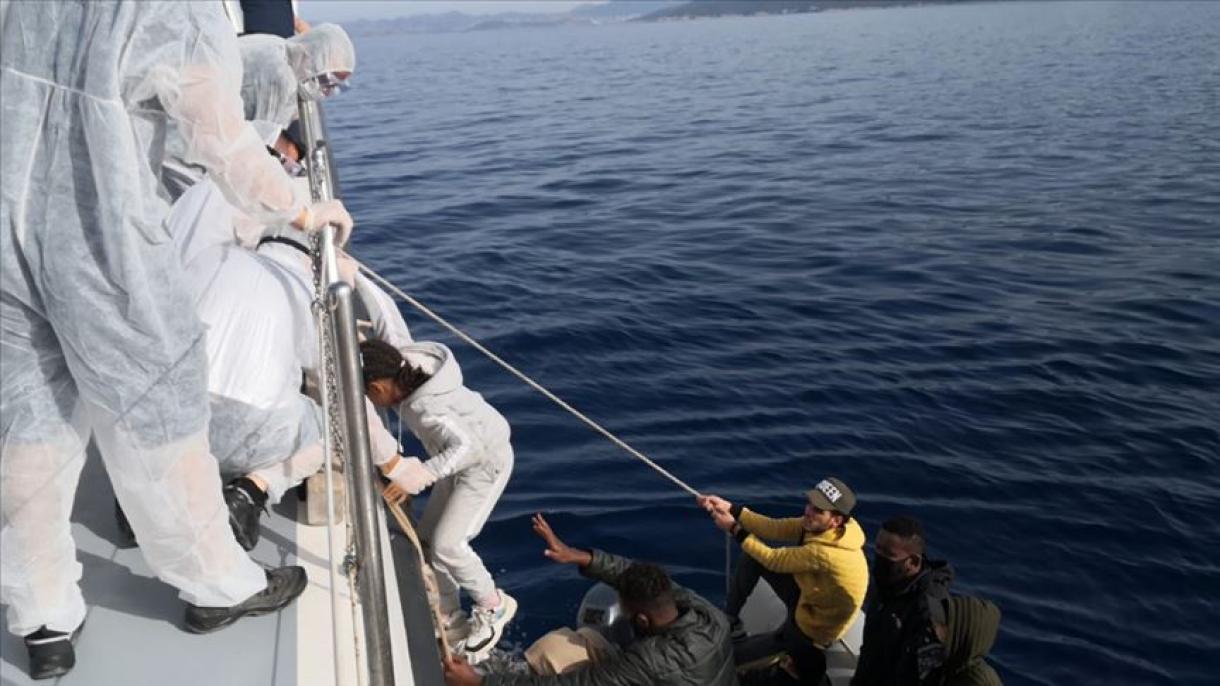 非正规移民在土耳其海域获救