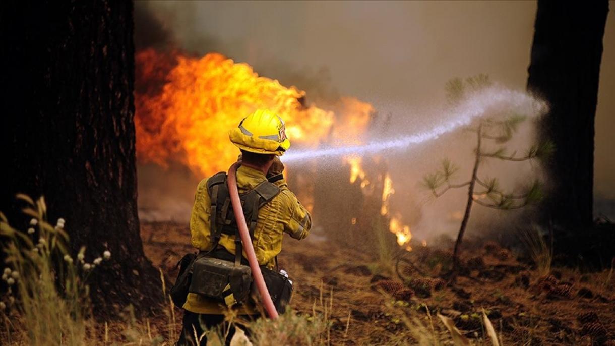 امریکہ: جنگلاتی آگ، 2 افراد ہلاک