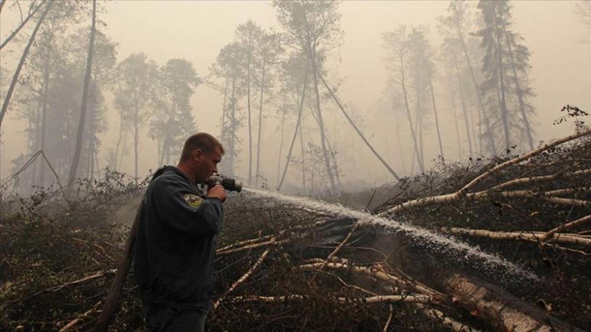 Incendiile de vegetație în Rusia continuă
