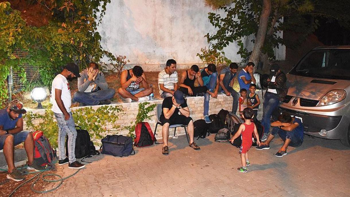 24 مهاجر قاچاق در استان موغلا دستگیر شدند