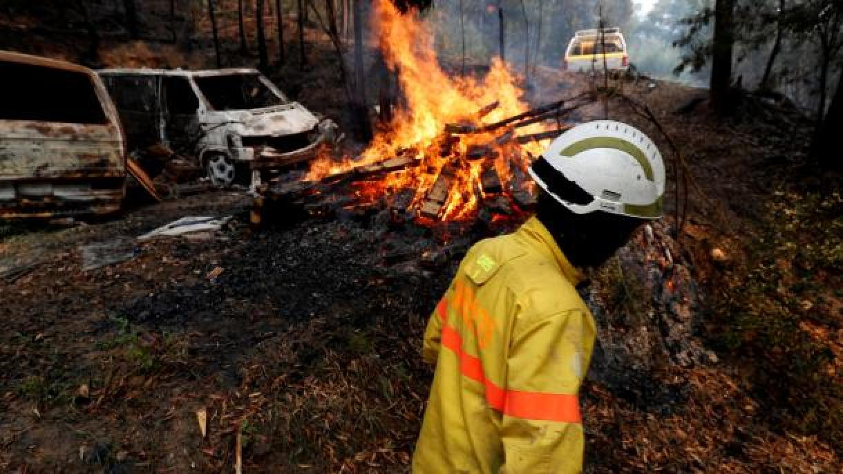 Presidente do Governo espanhol agradece o trabalho contra incêndios florestais