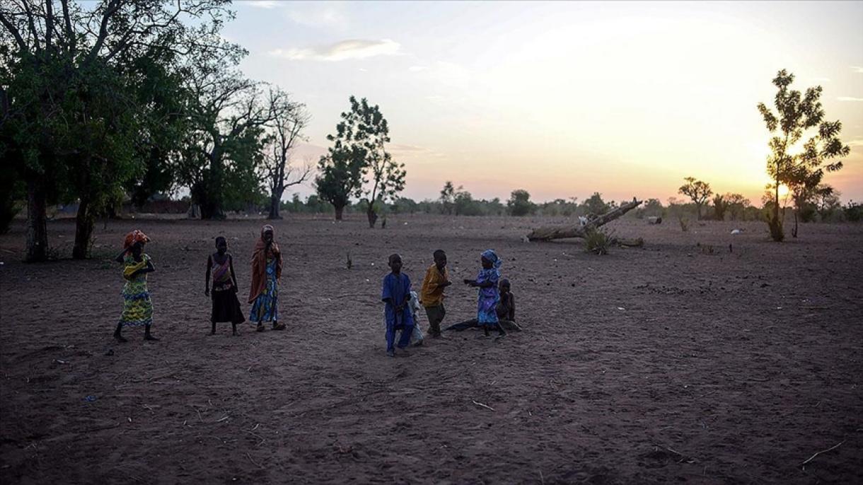 尼日利亚拉沙热疫情中170人死亡