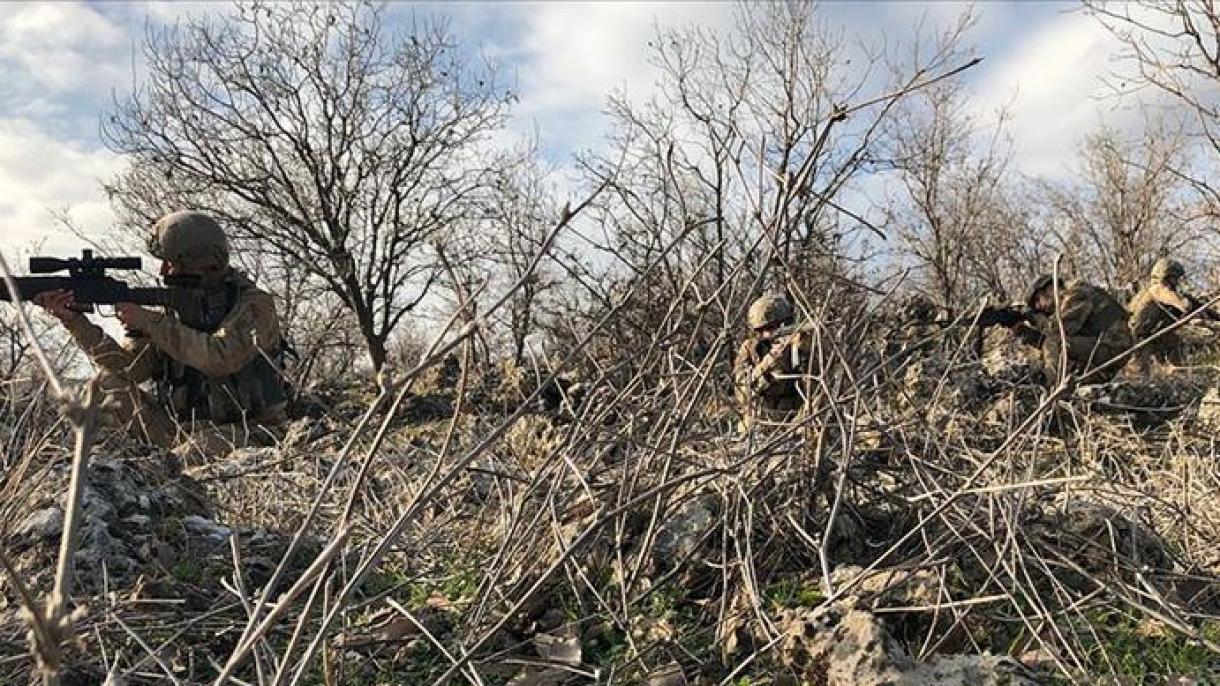 El Ejército turco lanza la operación militar Cepo-5 en Şırnak