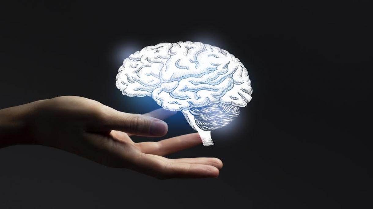 En EE. UU. se leyeron los pensamientos de una persona a la que le implantaron un chip en el cerebro