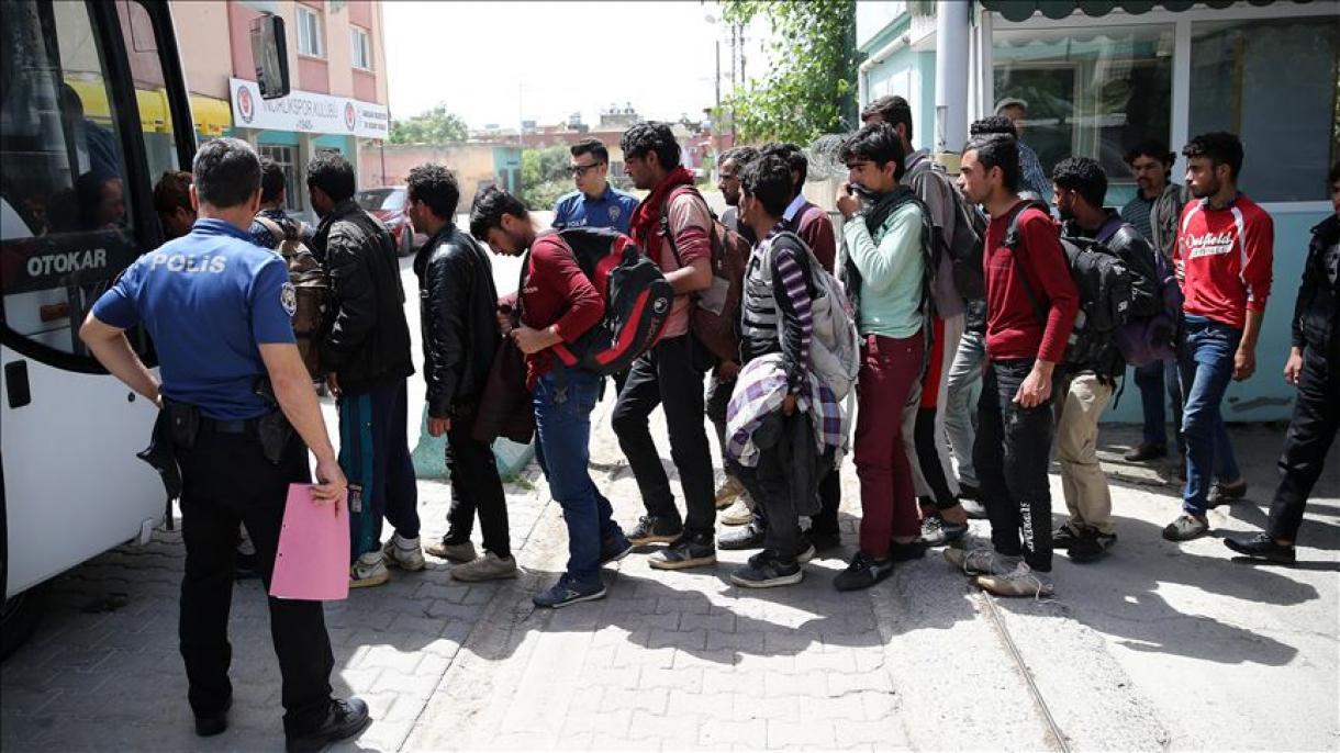 دستگیری 343 مهاجر غیرقانونی در ادیرنه ترکیه