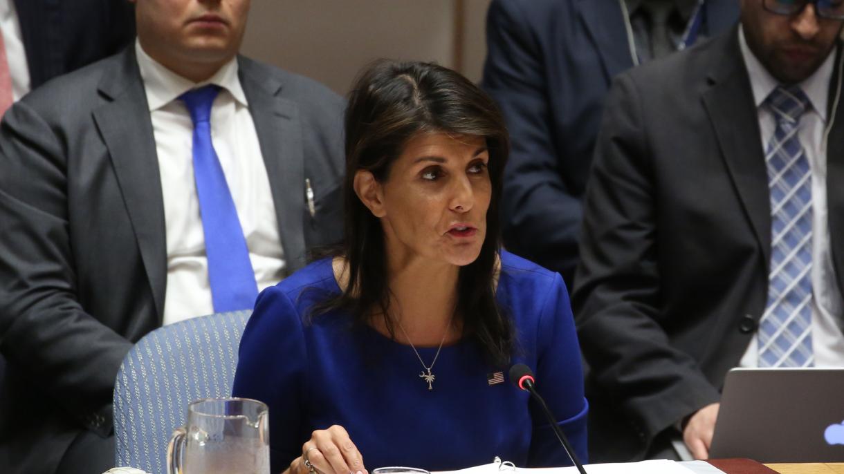 EEUU veta resolución en la ONU sobre protección de palestinos