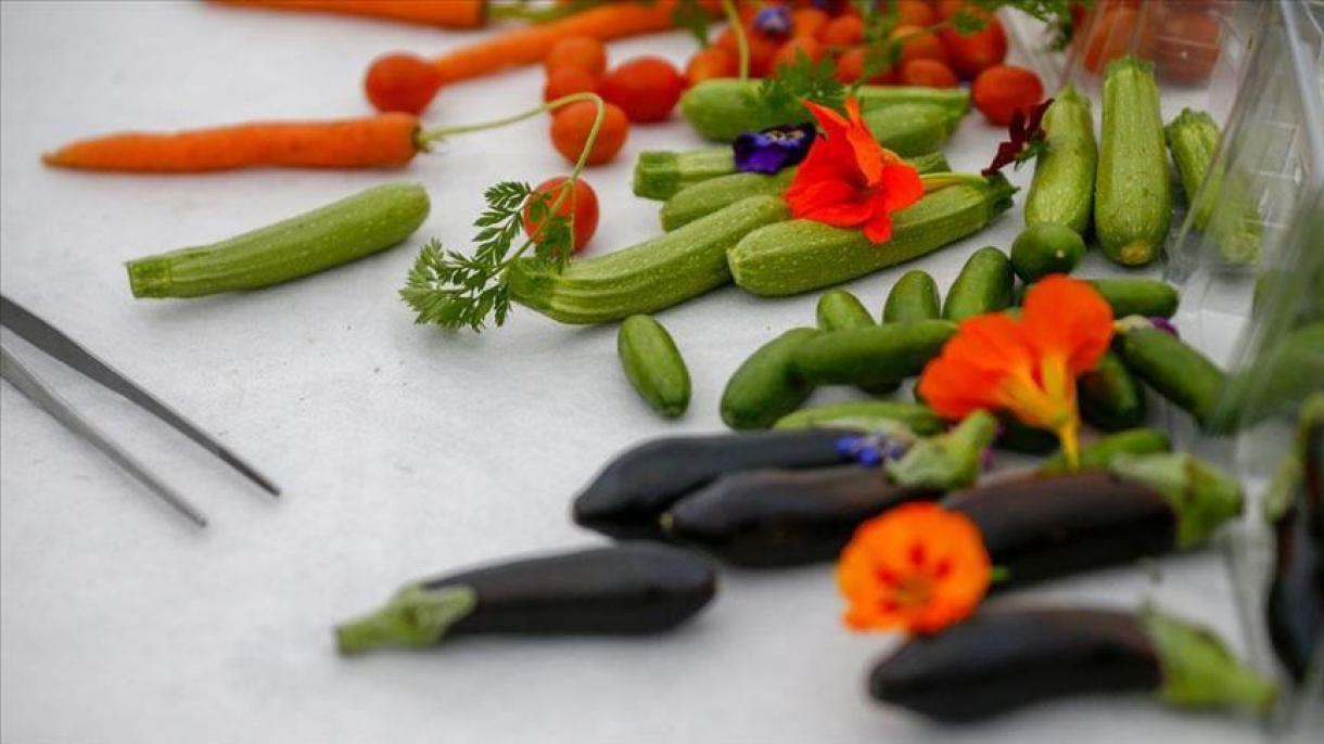Empresa turca produz mini legumes que exporta para hotéis de luxo