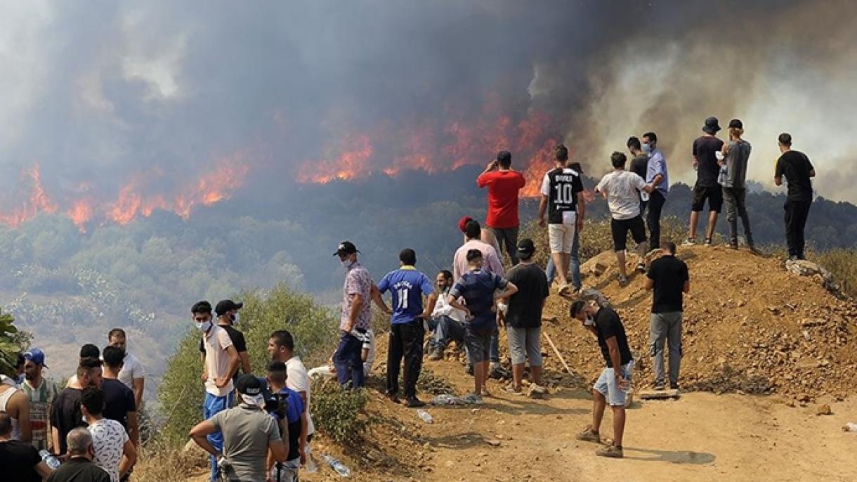 شمار جان باختگان آتش سوزی جنگل ها در الجزایر به 69 نفر رسید