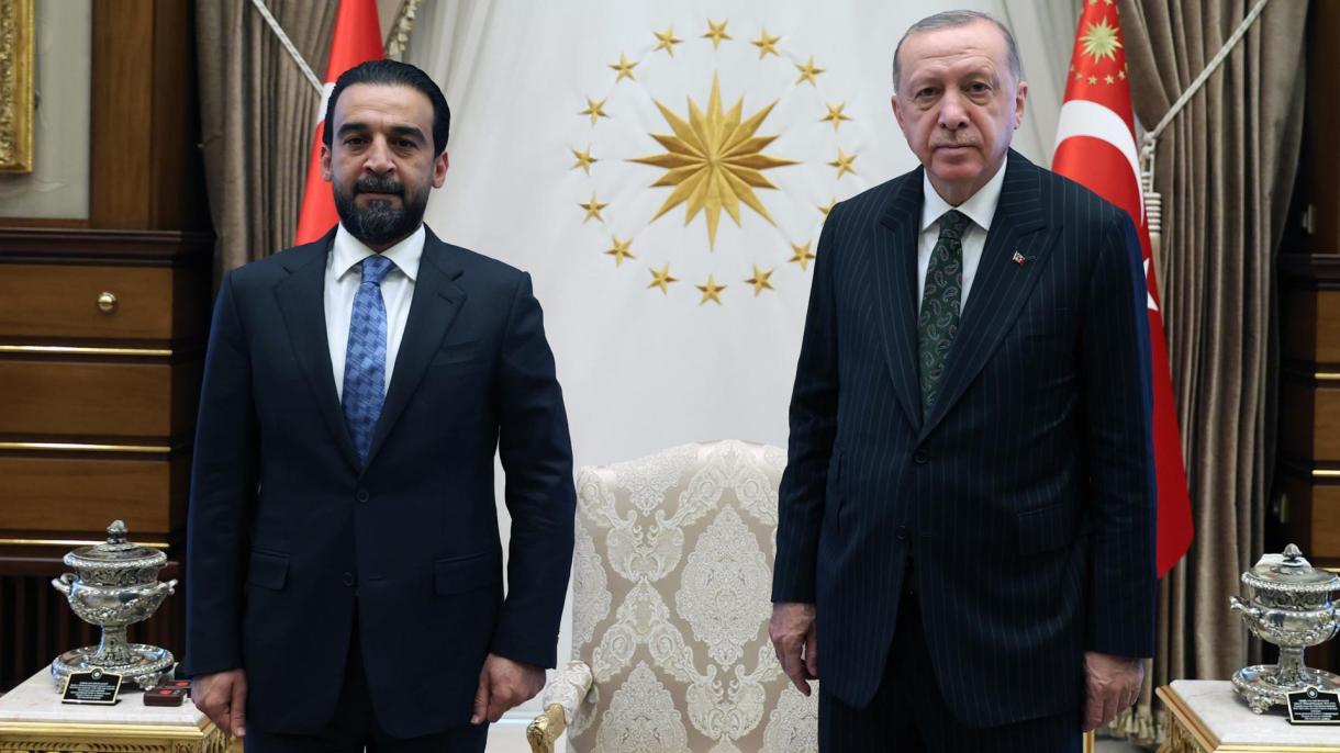 اردوغان با دبیرکل حزب «تقدم» عراق دیدار کرد