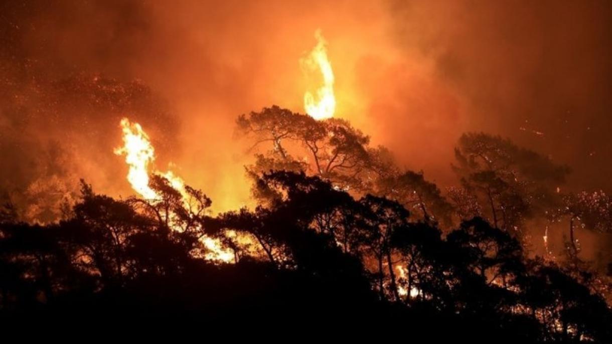 Голям горски пожар във Франция