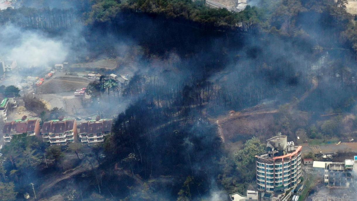 韩国总统宣布江陵市为“特别灾区”