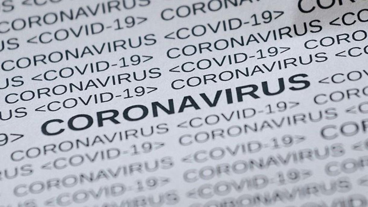 Bu koronavirus turında 2018nçe yılda uq kisätkännär