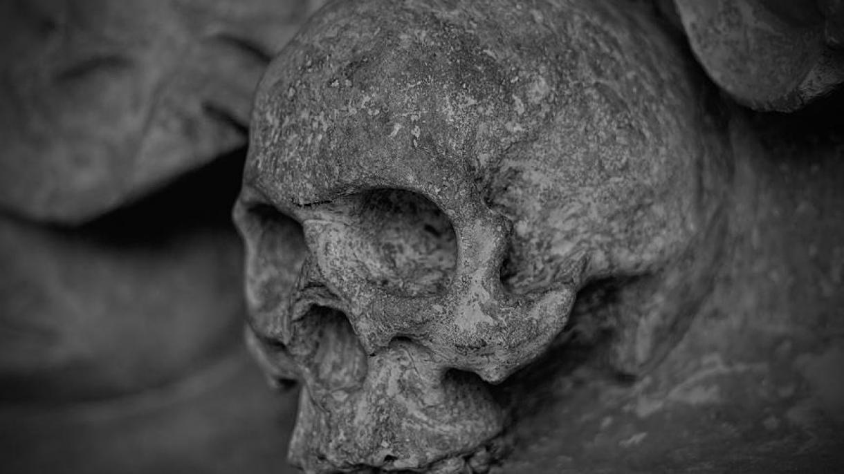 Encuentran 42 cráneos, restos óseos y fetos en un domicilio de Ciudad de México