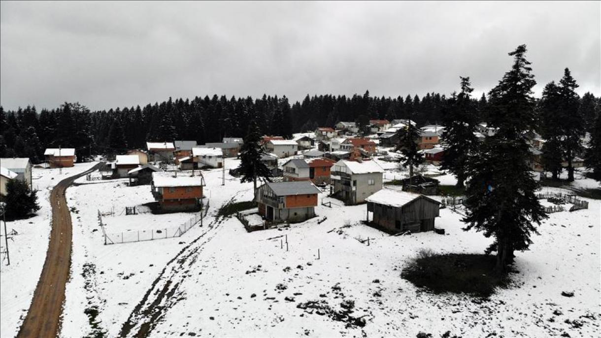 برف و شکوفه در ییلاق‌های استان بولوی ترکیه
