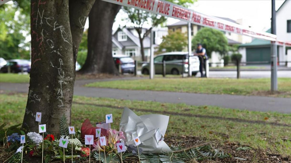 نیوزی لینڈ میں حملوں کی حمایت کرنے والا برطانوی زیر حراست