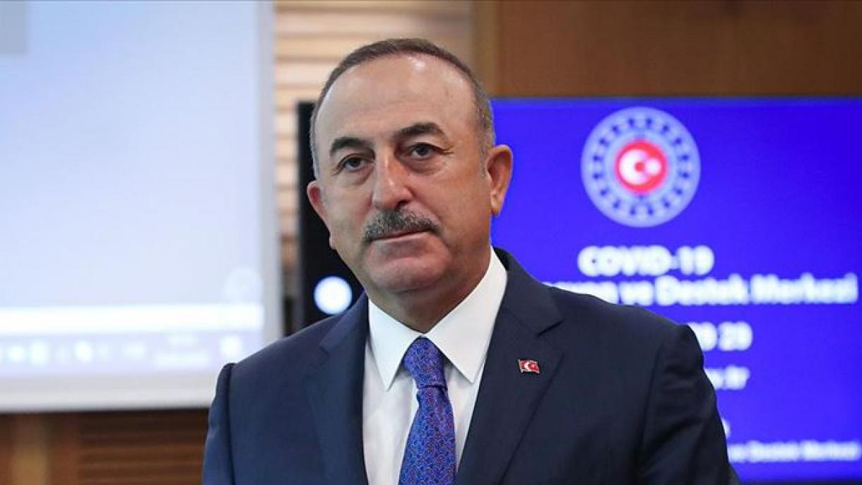 "103 ölkədən 65 mindən çox Türkiyə vətəndaşını ölkəyə gətirdik", M.Çavuşoğlu