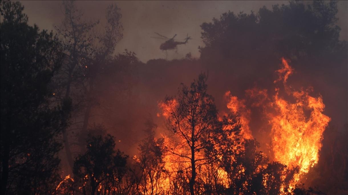 یونان کے جزیرے کورفو کے جنگلات میں آگ بھڑک اٹھی