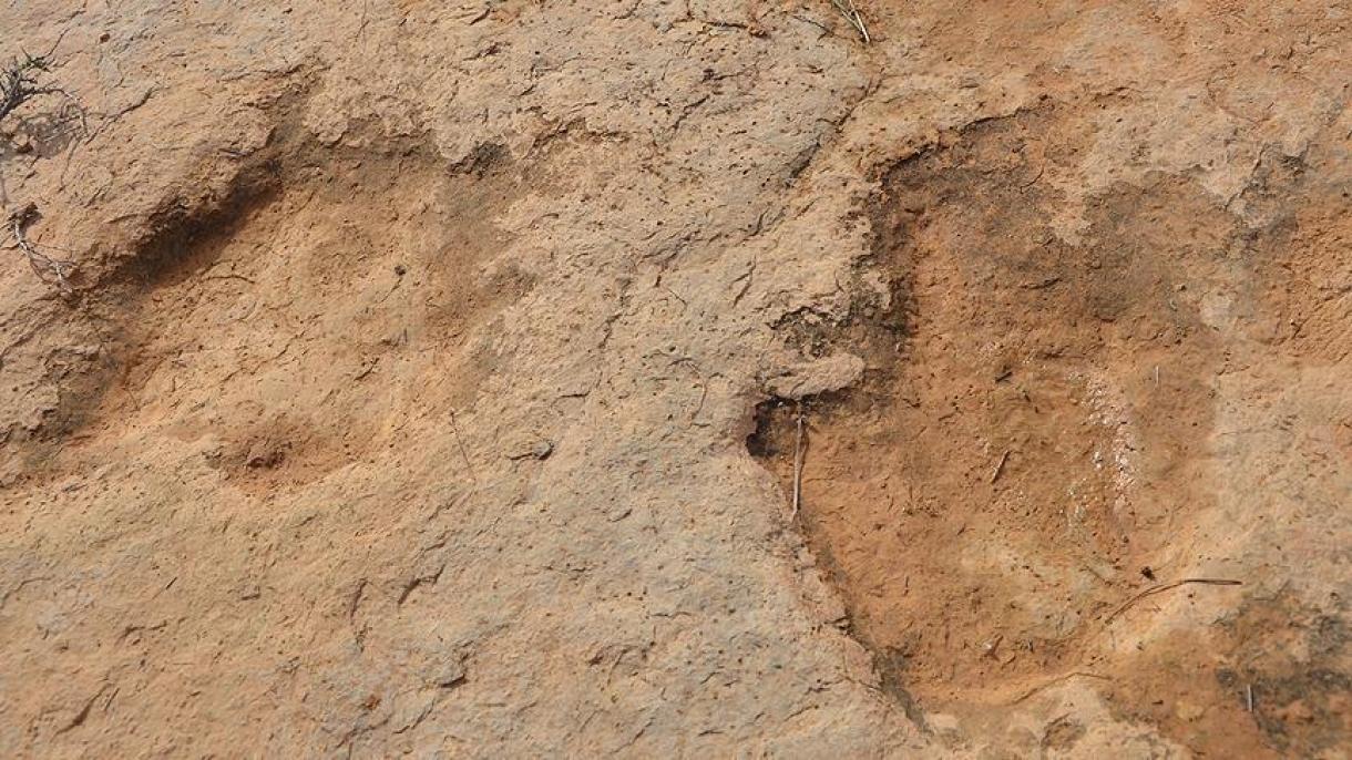 aptonom rayongha yéqin gobi kölide 70 milyon yil burunqi dinozawrning ayagh izi bayqaldi