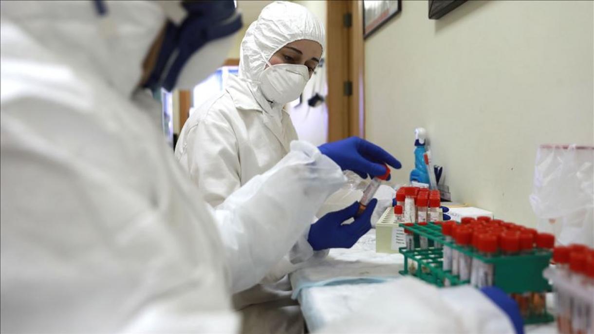 Científicos chilenos trabajan en una vacuna y un antiviral contra el coronavirus