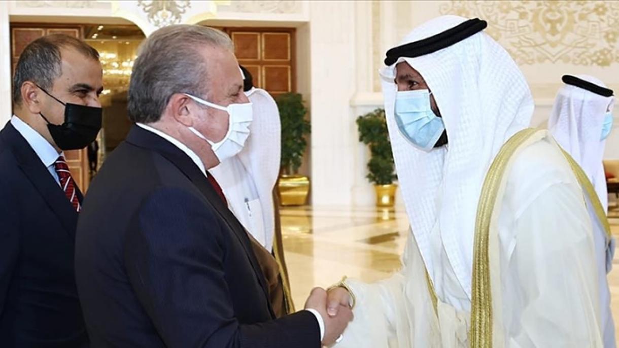 科威特王储高度赞扬埃尔多安总统