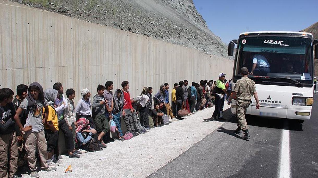 دستگیری 294 مهاجر غیرقانونی در آغری ترکیه