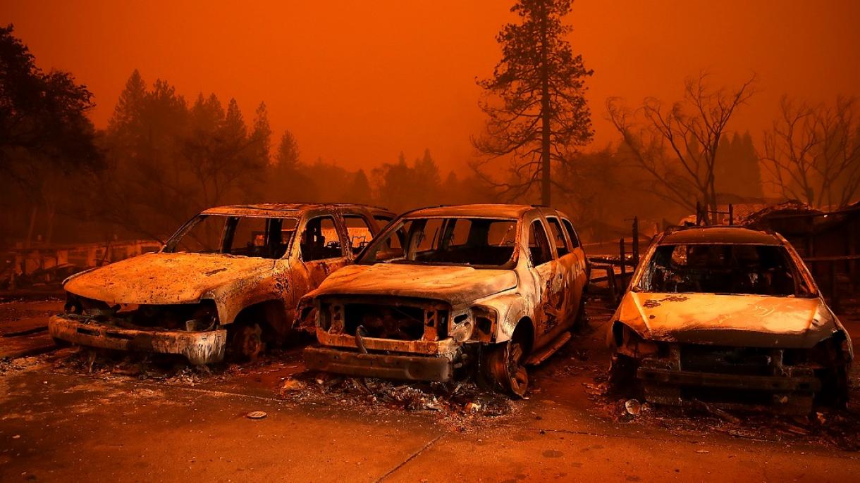 Llega a 42 la cifra de víctimas mortales en el incendio forestal en California