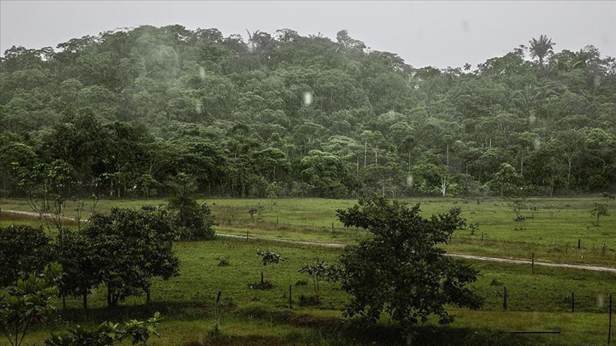 نشست کشورهای حوزه آمازون جهت مبارزه با "جنگل‌زدایی"