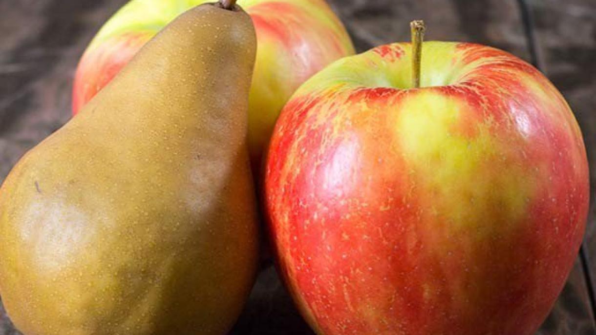 باقاعدگی سے ناشپاتی اور سیب کھا نے سے فالج کا خطرہ 52 فیصد کم ہو جاتا ہے، تحقیق