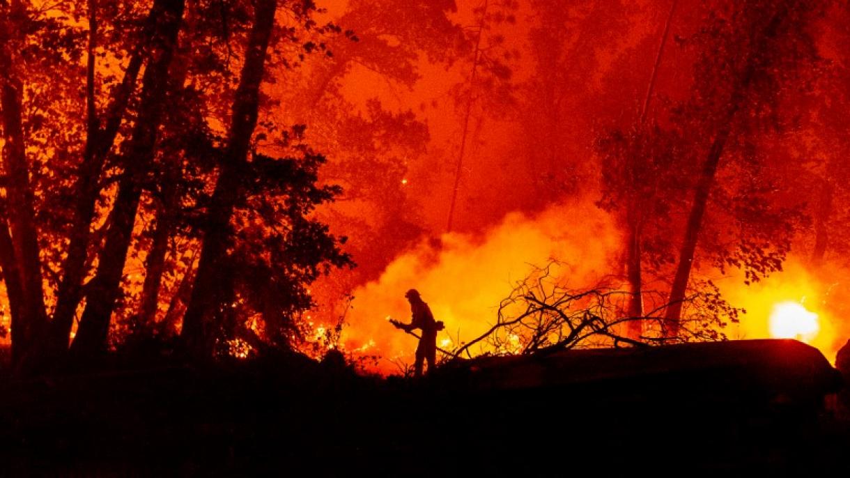Más de 30 muertes en los incendios de California donde 16 mil kilómetros cuadrados se devastaron