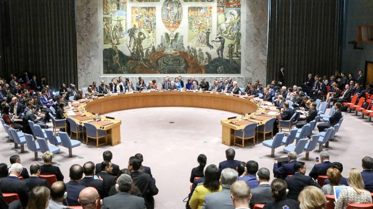 Diez países del CS de la ONU piden investigar los ataques en Idlib