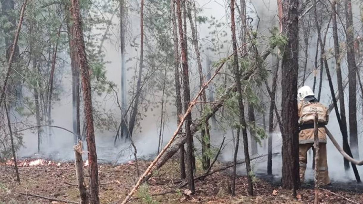 Sigue incendio forestal en Kazajistán