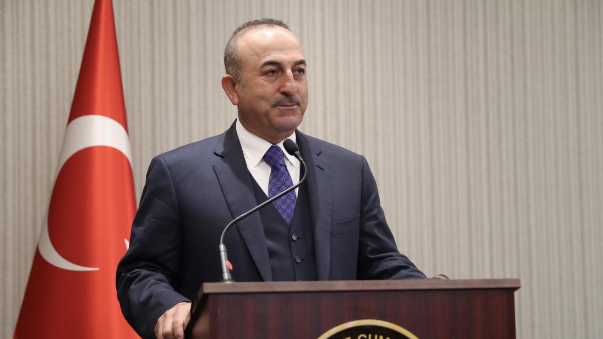 Çavuşoğlu evalúa la operación Rama de Olivo