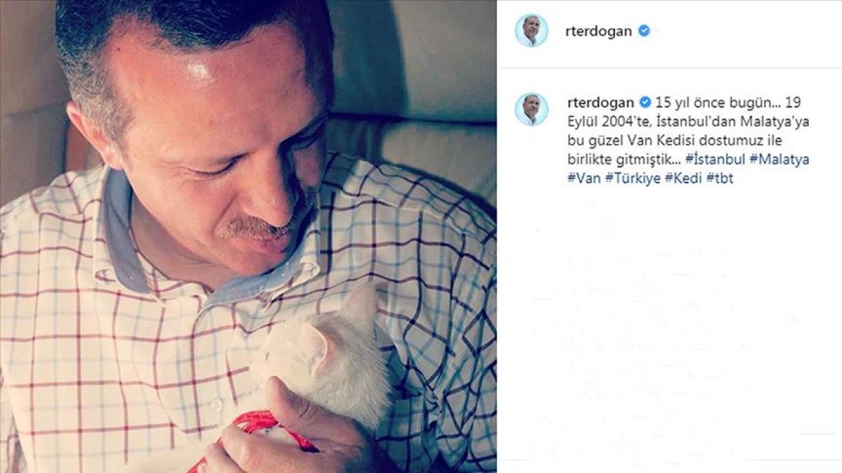エルドアン大統領 ワン猫とのツーショット写真をインスタ Tbt 投稿 エルドアン大統領 ワン猫とのツーショット写真をインスタ Tbt 投稿