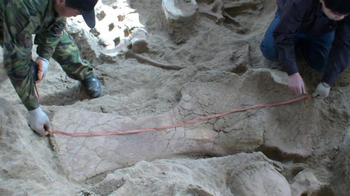 Descoberto um fóssil de dinossauro de 174 milhões de anos na China