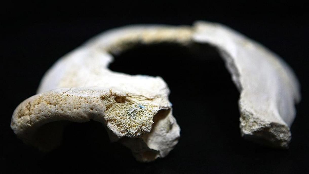 کشف فسیل 300 هزار ساله انسان در چین