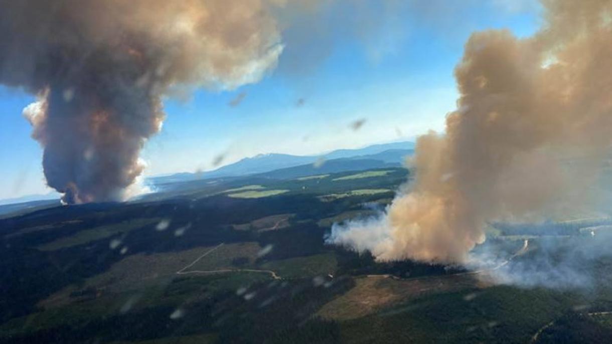 加拿大极端高温天气引发森林火灾