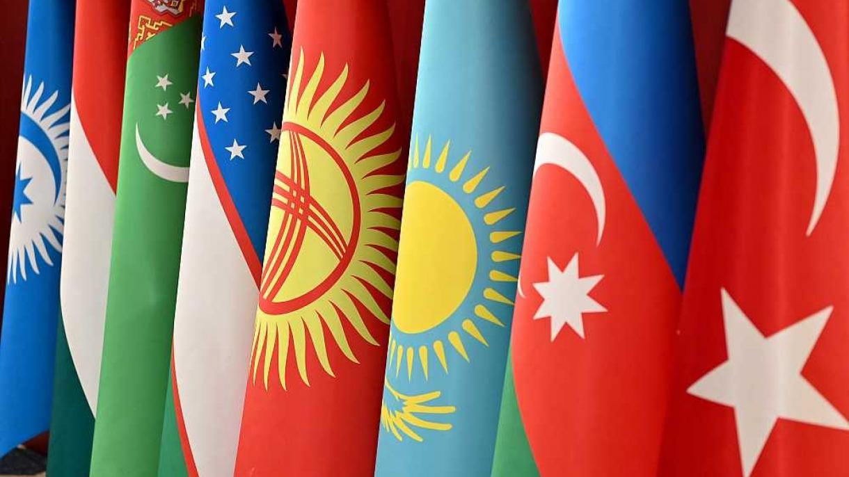 Türk Devletleri Teşkilatı Bayrak.jpg