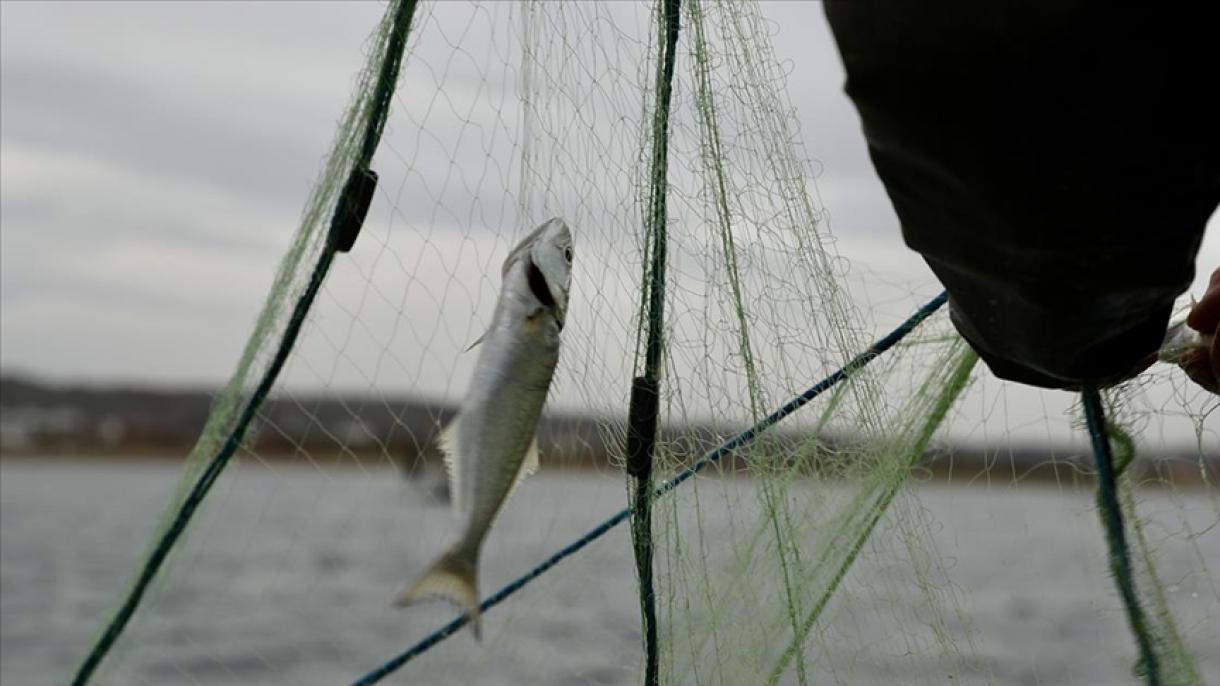 آمریکا اولین کشور بزرگی که توافقنامه کاهش یارانه‌های ماهیگیری را تصویب کرد